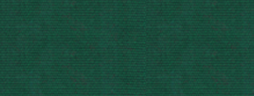 5 - Forest Green.png 5 - Forest Green.png